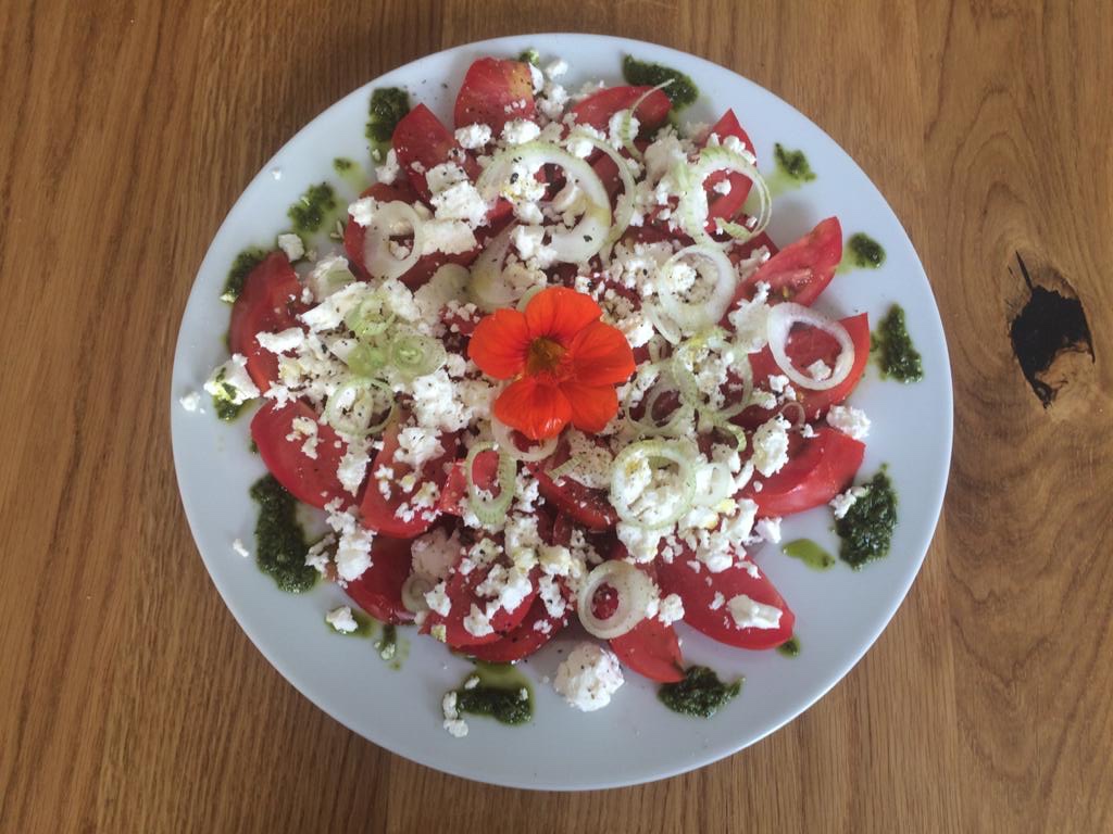 Tomaten-Feta-Salat – Regionalkollektiv